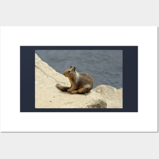 Squirrel, wildlife, gifts, animals, Squirrelly Happiness Posters and Art